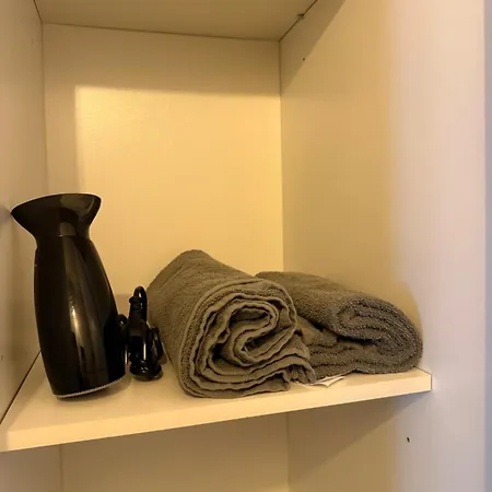 Viera Lazovna Street Appartement